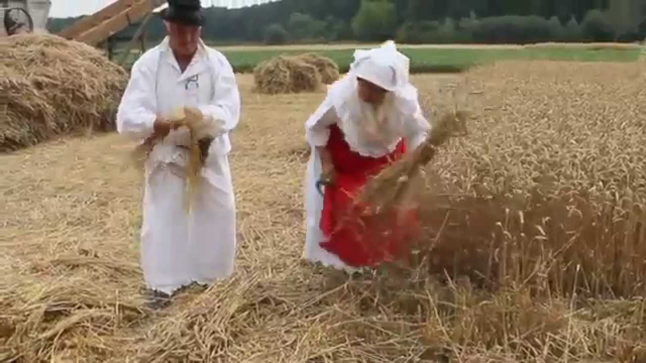 Diaspora Band - Slavonija
